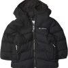 Columbia Kids Arctic Blast™ Jacket (Toddler) -Fashion Hub Shop 71GGLiCHNXL. AC SR736920
